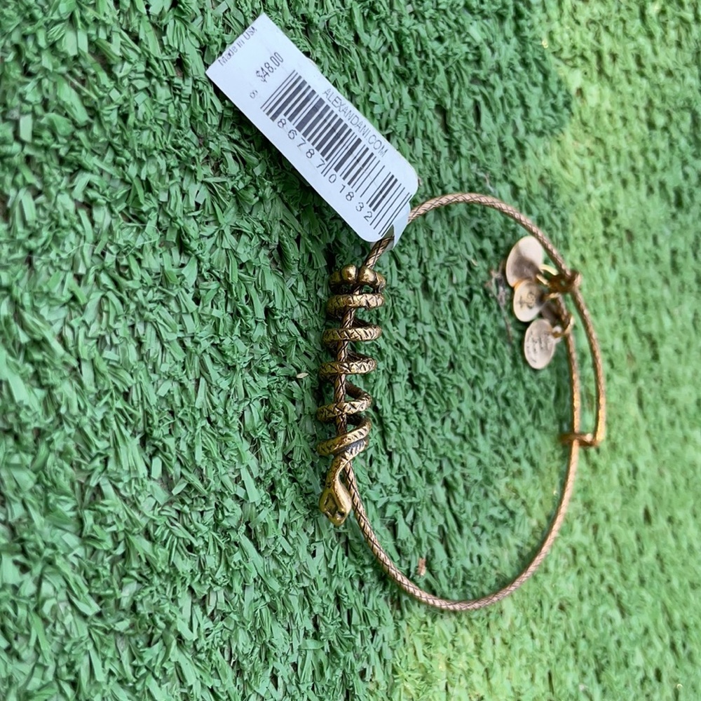 Alex & Ani serpent bracelet